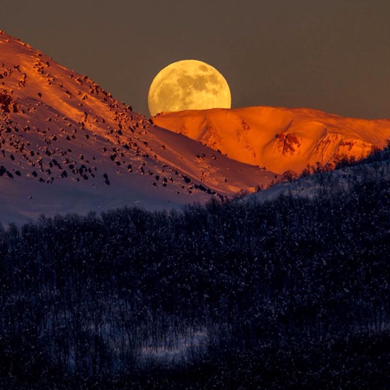 Özge Öz - Nar Çiçeğim