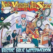 North Mississippi Allstars - Stompin' My Foot
