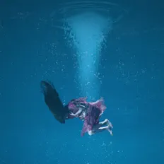 收听 高慧君、观看音乐视频、阅读小传、查看巡演日期等 ！