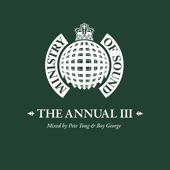 Ministry of Sound: The Annual III - Mixed by Pete Tong & Boy George (DJ Mix) artwork