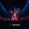 A Different Way (feat. Lauv) [KANDY Remix] - DJ Snake lyrics