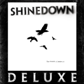 Second Chance - Shinedown Cover Art