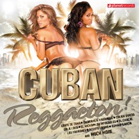 Los Faraones - Me Enamoré