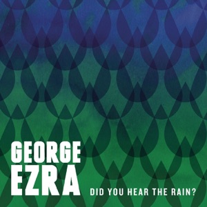 Did You Hear the Rain? - EP