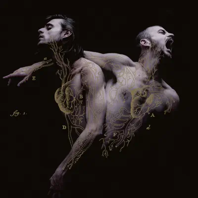 Listen to Heymoonshaker, watch music videos, read bio, see tour dates & more!