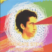 Wondervisions - Delicate Steve