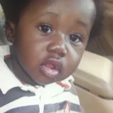 YDT ZURPを聴いたり、ミュージックビデオを鑑賞したり、経歴やツアー日程などを確認したりしましょう！