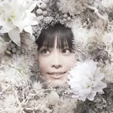收听 Yasuha Kominami、观看音乐视频、阅读小传、查看巡演日期等 ！