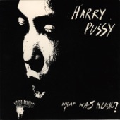 Harry Pussy - Riot Riot