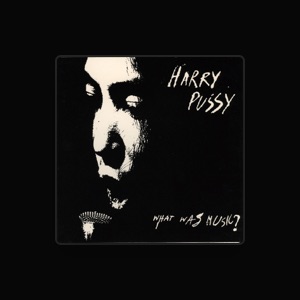 Harry Pussy