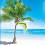 Robbins Island Music Group