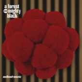 A Forest Mighty Black - Rebirth