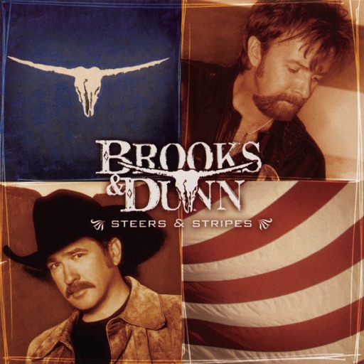 Art for Only in America by Brooks & Dunn