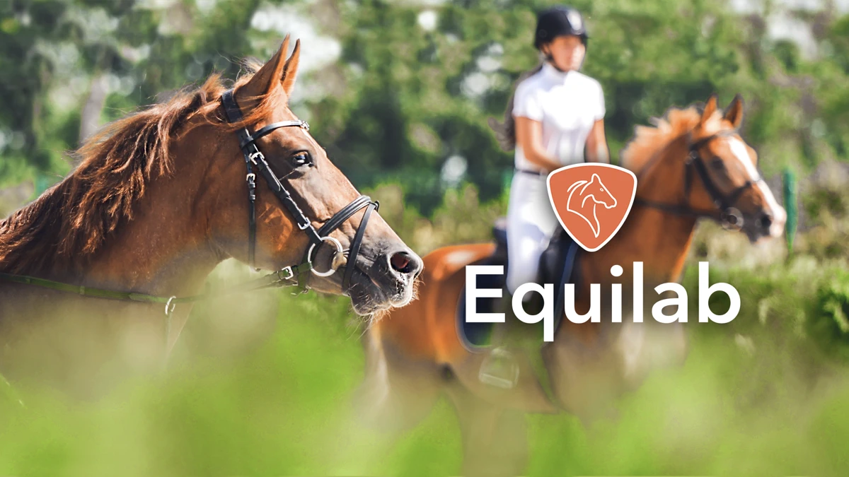 Equilab: Horse Riding Tracker App Store product page header