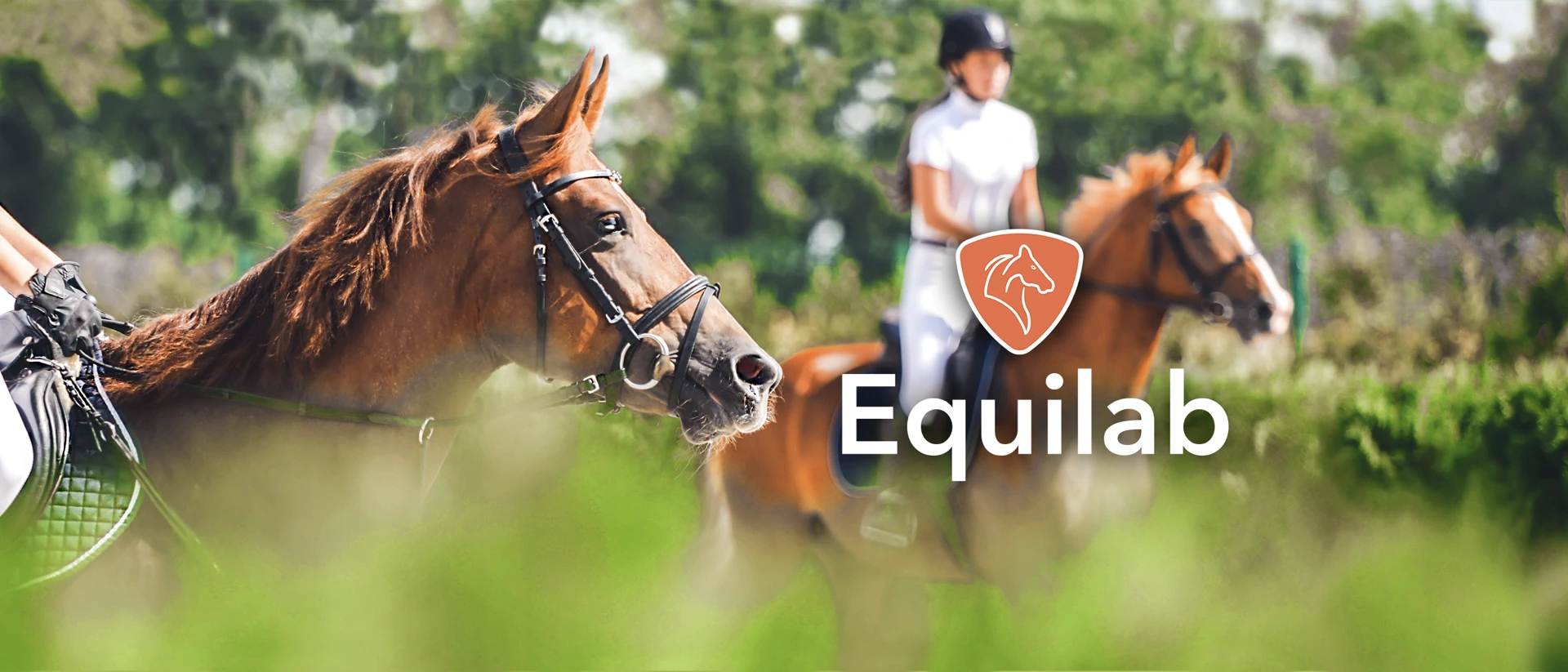 Equilab: Horse Riding Tracker product page header