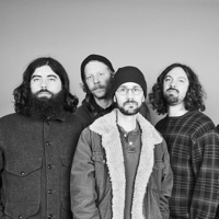 The Moondoggies
