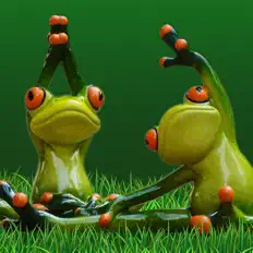 Petits Yogis Musique Masters सुनें, म्यूज़िक वीडियो देखें, बायो पढ़ें, दौरे की तारीखें और बहुत कुछ देखें!