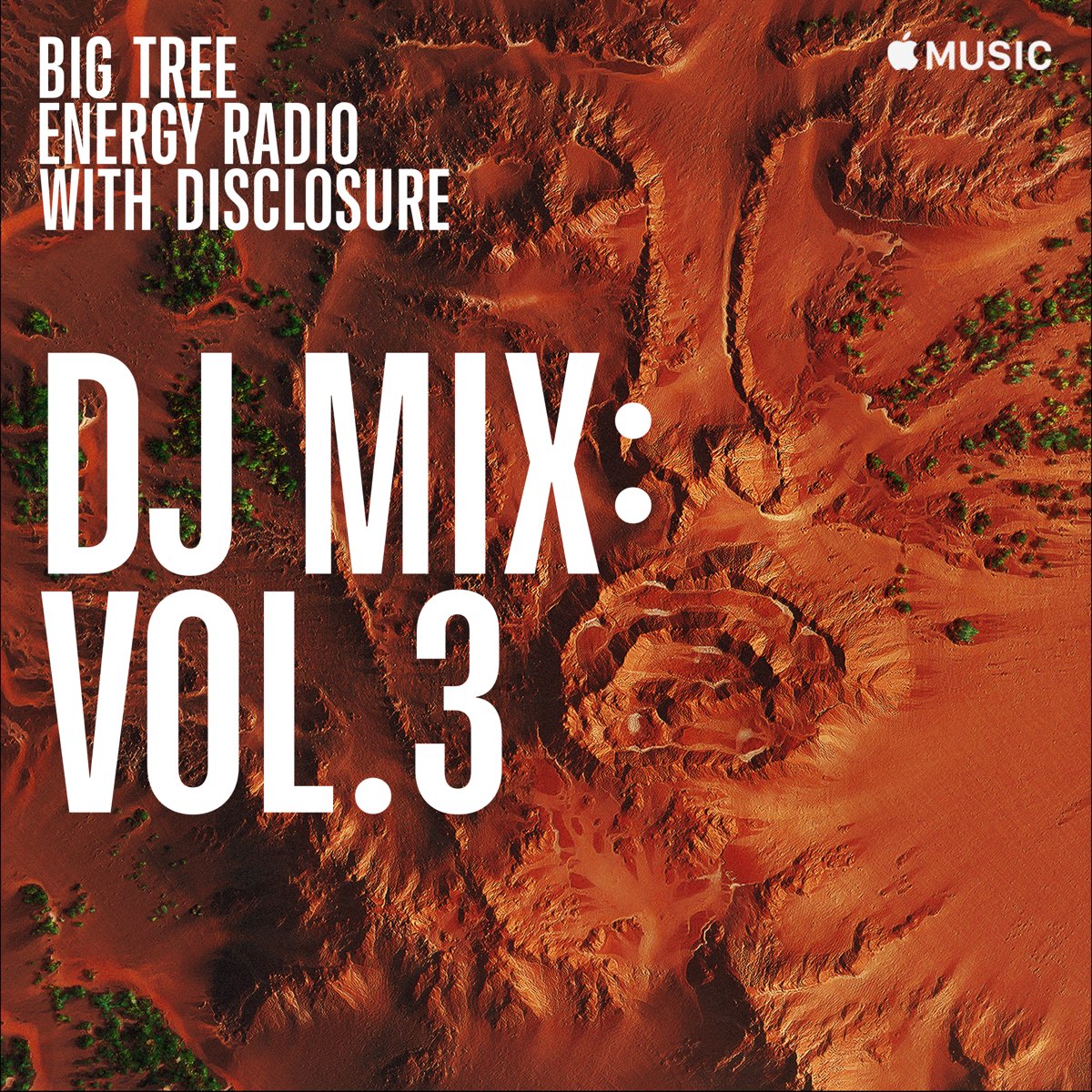 Big Tree Energy Radio, Vol. 3 (DJ Mix) by Disclosure on Apple Music