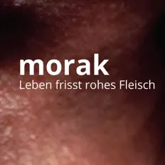 Franz Morakを聴いたり、ミュージックビデオを鑑賞したり、経歴やツアー日程などを確認したりしましょう！