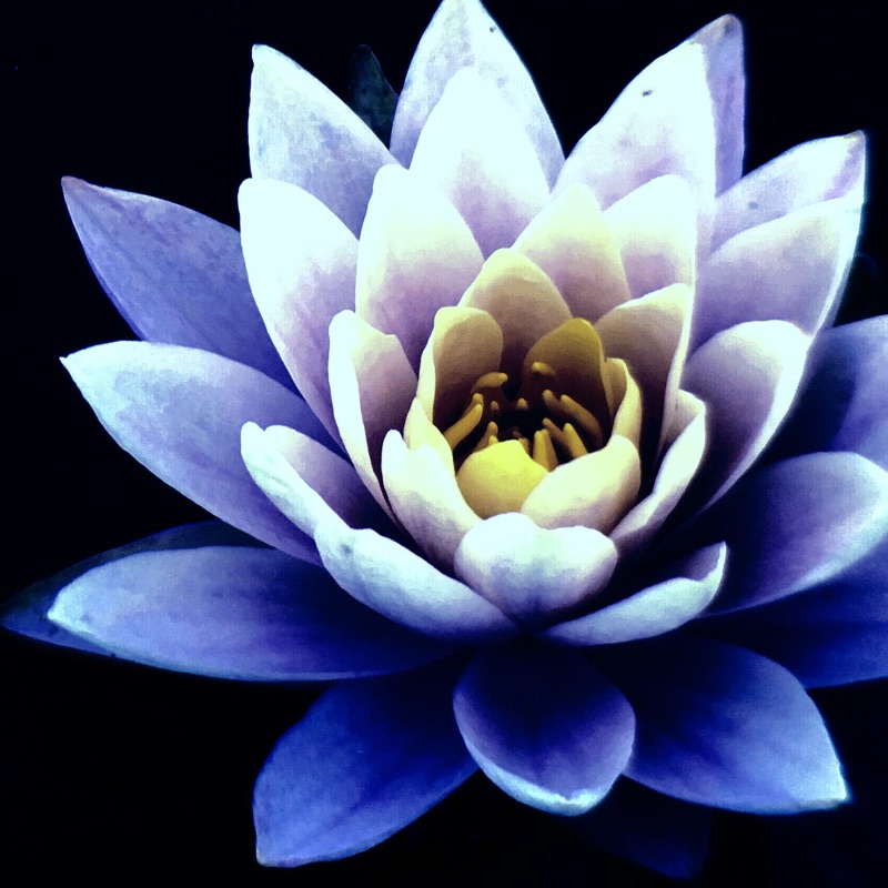 Meditation