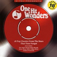 One Hit Wonders - 18 Pop Classics from the Stars That Time Forgot (Rerecorded Version) - Various Artists