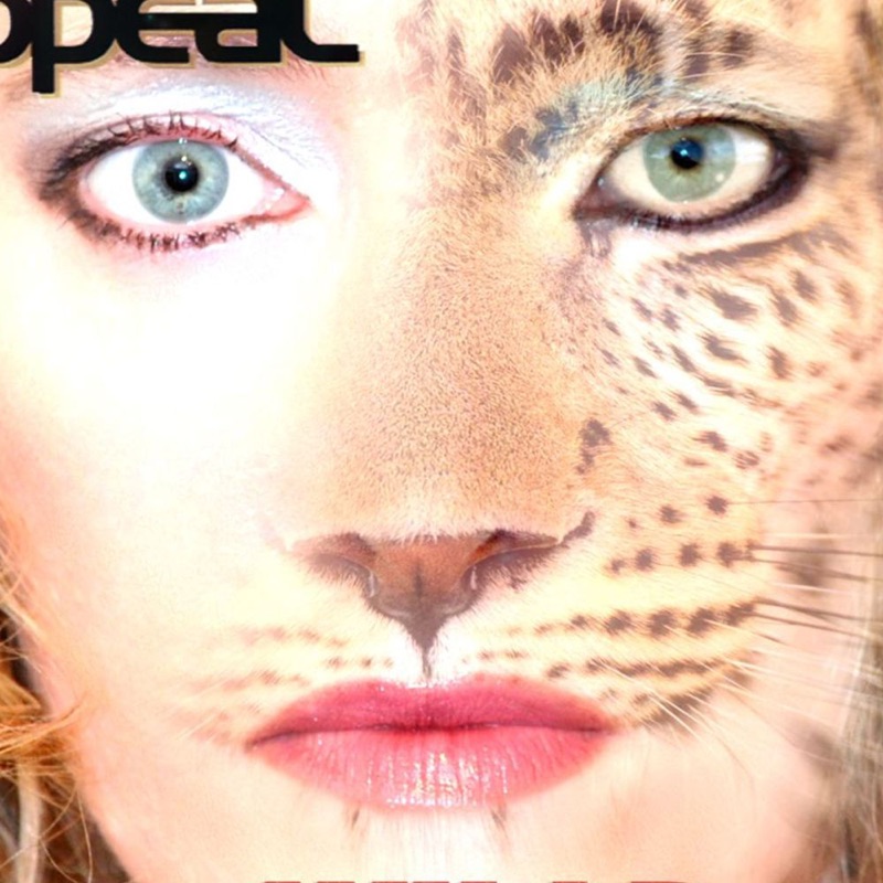 S.E.X.Appeal - Fragile Love