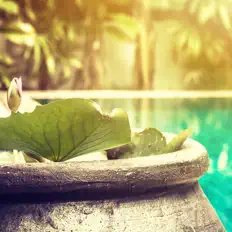 Saint Tropez Radio Lounge Chillout Music Club을(를) 듣고, 뮤직 비디오를 보고, 약력을 읽고, 투어 일정 등을 확인하세요!