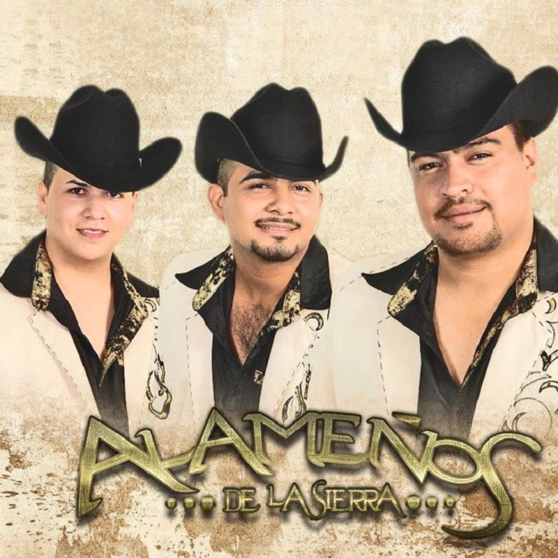 Los Alameños De La Sierra - Entra en Mi Vida