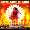 Notre Dame de Paris (Version Intégrale) - Разные артисты