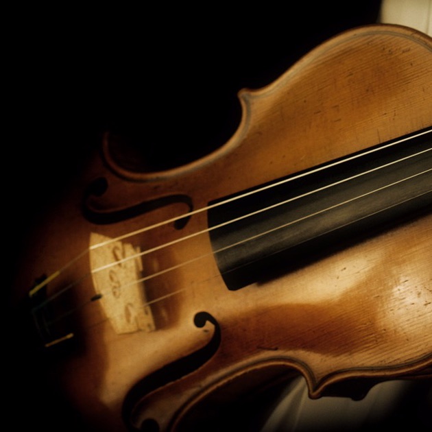 The Hamburg Symphony Orchestra