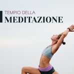 Meditazione zen musica