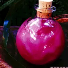 Love Potionを聴いたり、ミュージックビデオを鑑賞したり、経歴やツアー日程などを確認したりしましょう！