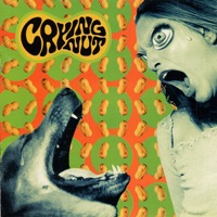 Speed Up Losers - Crying Nut