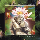 Shastro - The Diamond and the Lotus