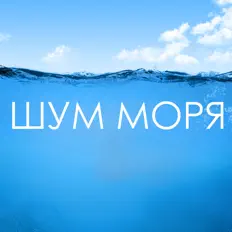 Poslechněte si interpreta Шум Моря Коллекция, sledujte hudební videa, přečtěte si životopis, podívejte se na data turné a další informace.