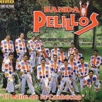 Banda Pelillos