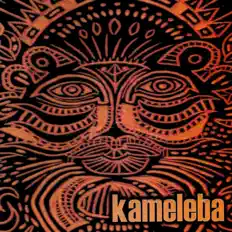 Kamelebaを聴いたり、ミュージックビデオを鑑賞したり、経歴やツアー日程などを確認したりしましょう！