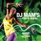 Fiesta Buena (feat. Luis Guisao & Soldat Jahman) - DJ Mam's lyrics