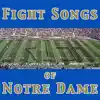 University of Notre Dame Band of the Fighting Irish - Damhsa Bua - Victory Clog