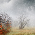 Rain relax