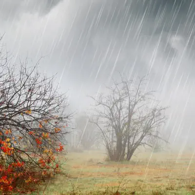 Listen to Rain relax, watch music videos, read bio, see tour dates & more!