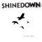 What a Shame - Shinedown lyrics