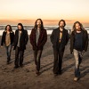 Chris Robinson Brotherhood