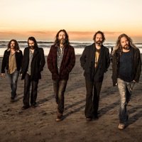 Chris Robinson Brotherhood