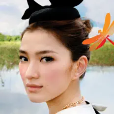 聆聽 丁丁、觀看音樂影片、閱讀小傳、查看巡演日期等！