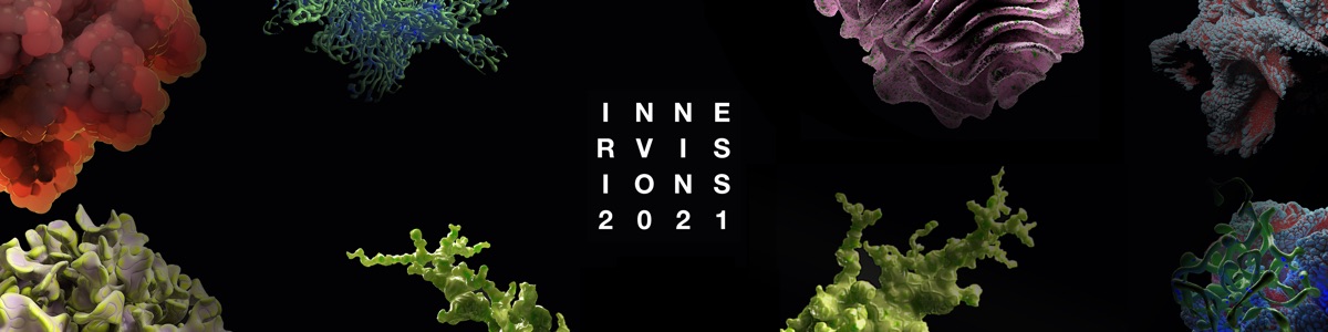 Innervisions