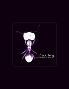 Escucha a Black Lung, mira videos musicales, lee su biografía, consulta las fechas de las gira y más.