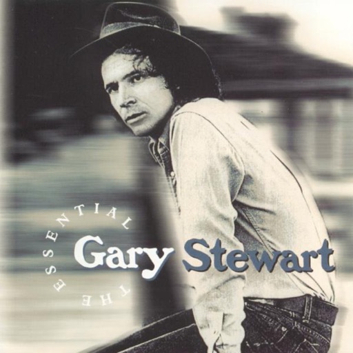 Art for I See the Want to in Your Eyes by Gary Stewart