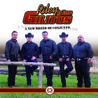 Riley y Los Gilitos - Mi Low Rider