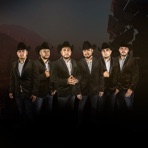 Grupo Vision